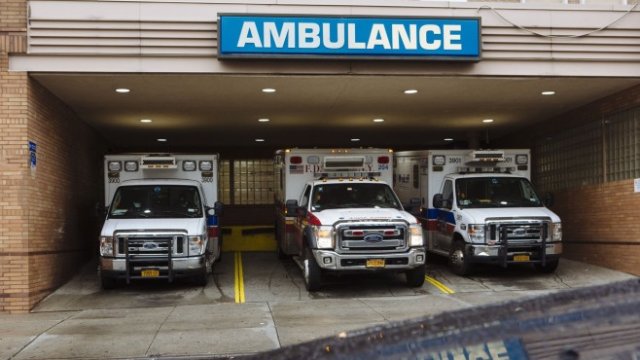 <p>
	<em>Снимка: Angus Mordant/Bloomberg</em></p>
