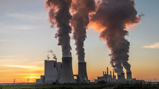 Снимка: Pixabay