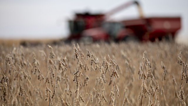 Снимка: Bloomberg L.P.