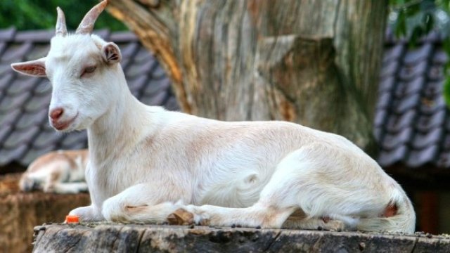 <p>
	<em>Снимка: Pixabay</em></p>
