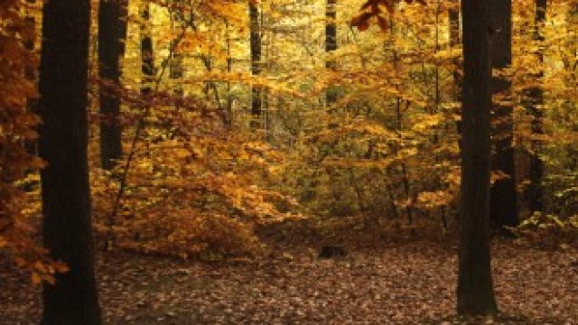 <p>
	<em>Снимка: Архив Ройтерс</em></p>
