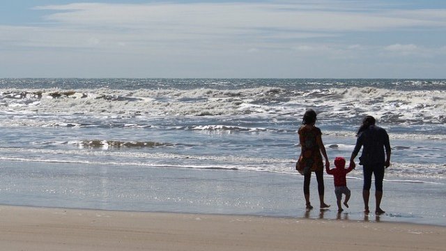 <p>
	<em>Снимка: Pixabay</em></p>
