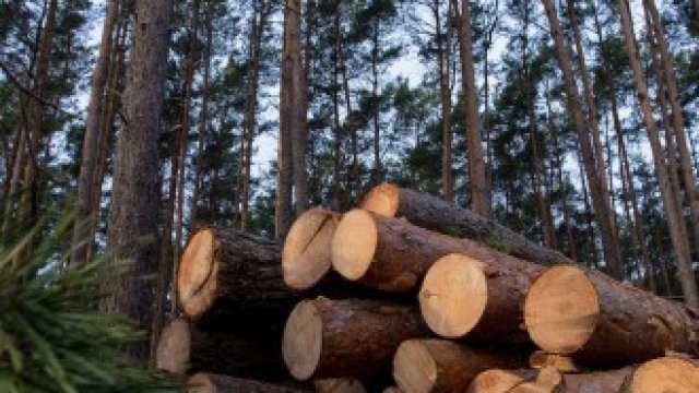 <p>
	<em>Снимка: Krisztian Bocsi/Bloomberg</em></p>
