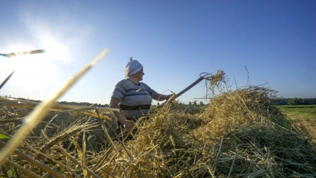 <p>
	<em>Снимка: Bloomberg LP</em></p>
