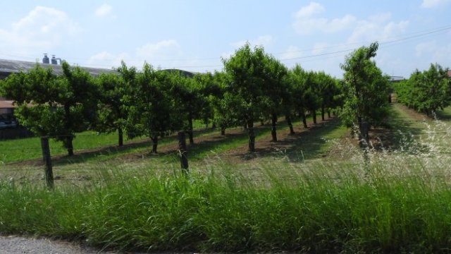 <p>
	<em>Снимка: Investor.bg</em></p>
