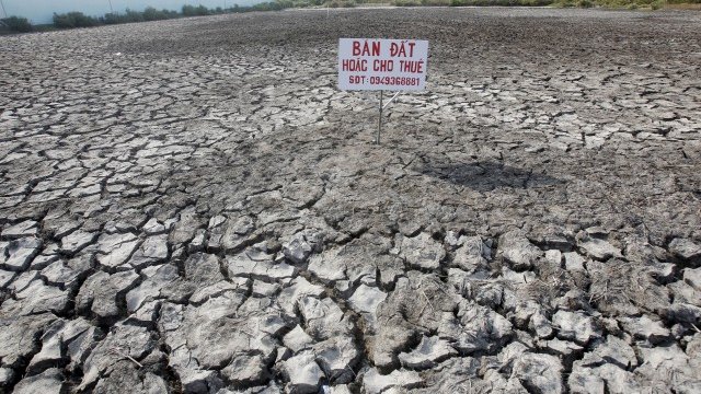 <p>
	Река Меконг във Виетнам е суха. <em>Снимка: Ройтерс</em></p>
