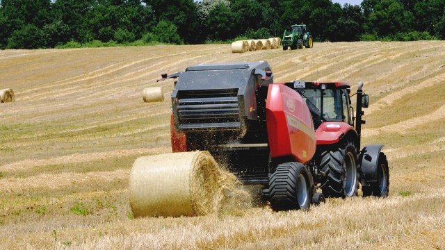 <p>
	<em>Снимка: БТА</em></p>
