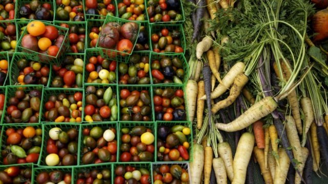 <p>
	<em>Снимка: pixabay.com</em></p>
