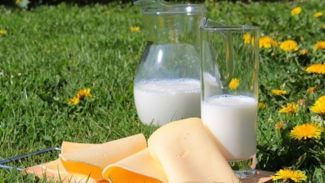 Виктор Папазов: Производителите на млечни продукти са в неизгодна позиция