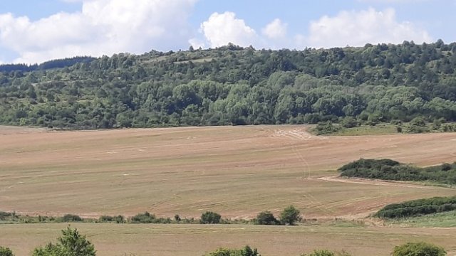 <p>
	<em>Снимка: Investor.bg</em></p>
