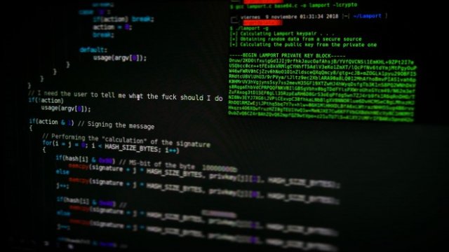 <p>
	<em>Снимка: Unsplash</em></p>
