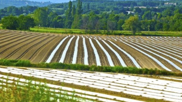 <p>
	<em>Снимка: Pixabay.com</em></p>
