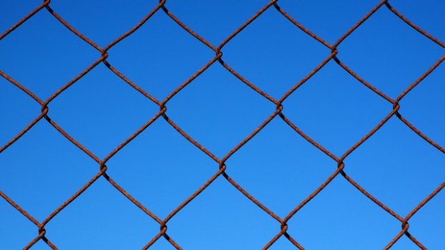 <p>
	<em>Снимка: Pixabay</em></p>
