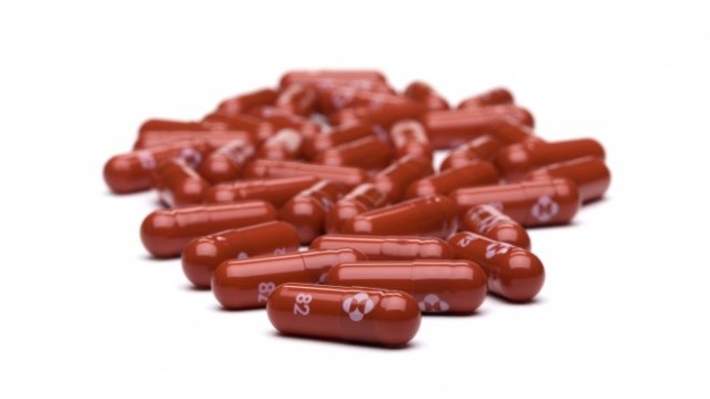 <p>
	<em>Снимка: EPA/HANDOUT MANDATORY</em></p>
