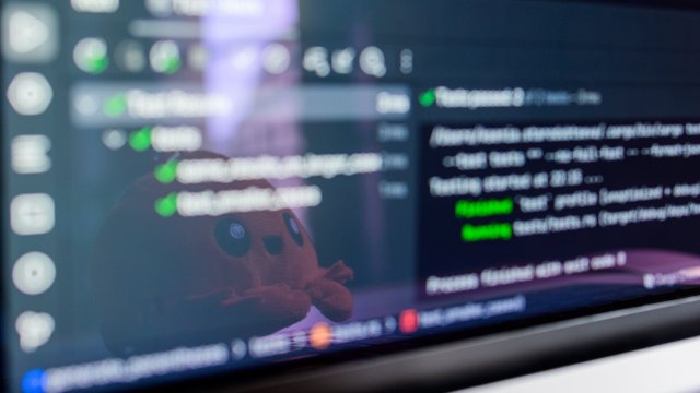 Снимка: pexels.com