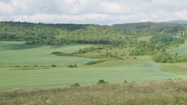 <p>
	<em>Снимка: Pixabay</em></p>
