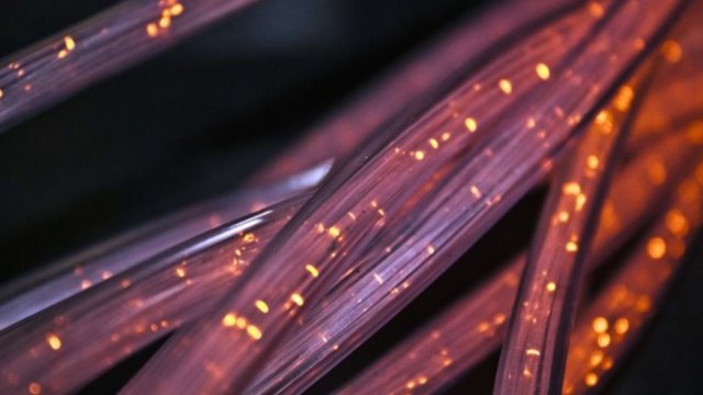 <p>
	<em>Снимка: Pixabay</em></p>
