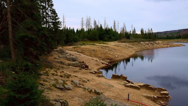 Снимка: Pixabay