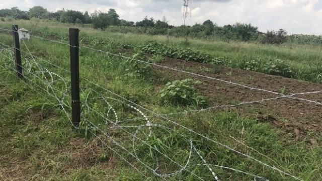 <p>
	Ограда покрай сухоземната граница между България и Румъния, поставена с цел спиране на африканската чума по свинете.&nbsp;<em>Снимка МЗХГ</em></p>
