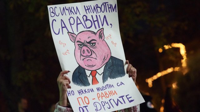 Снимка: Стефан Василев, БГНЕС