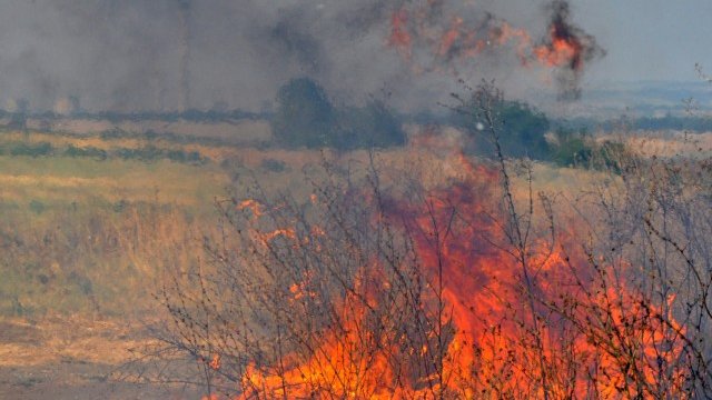 <p>
	<em>Снимка: БТА</em></p>
