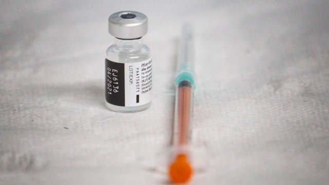 <p>
	<em>Снимка: Димитър Кьосемарлиев, Investor Media Group</em></p>
