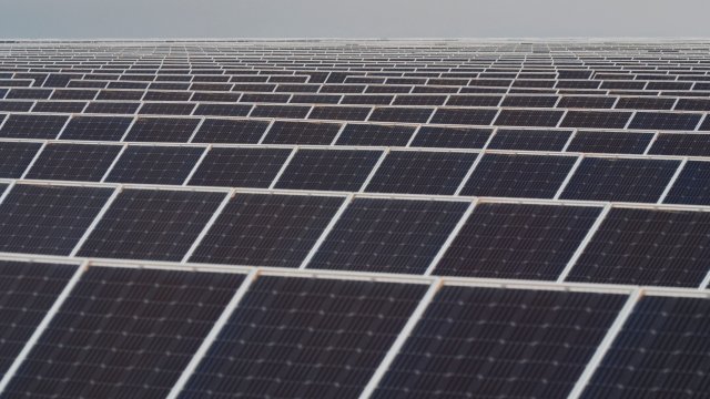 Снимка: Bloomberg L.P.