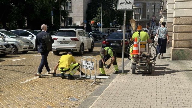 Снимка: БГНЕС/РОСЕН КАЛИНОВ 