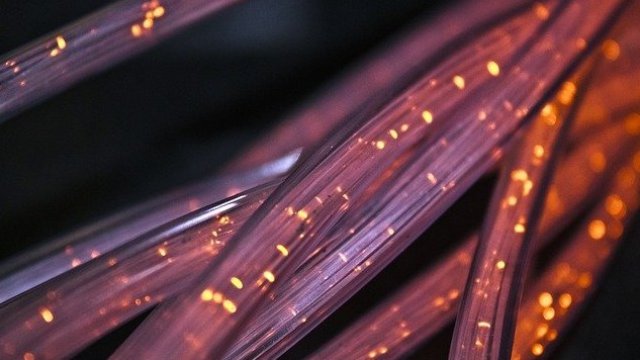 <p>
	<em>Снимка: Pixabay</em></p>
