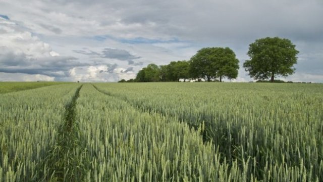 <p>
	<em>Снимка: Pixabay</em></p>
