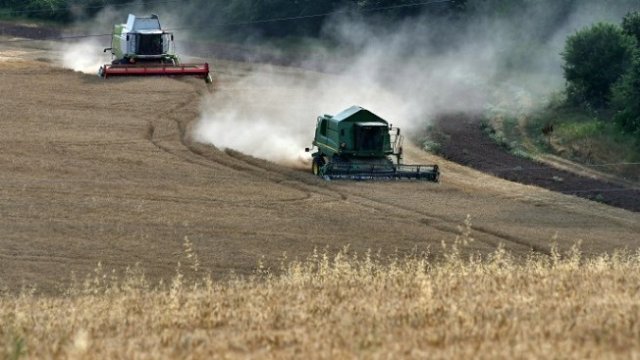 Петя Ставрева: Мярката за иновации в земеделието закъсня много 