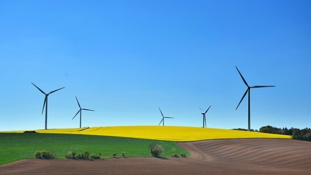 <p>
	<em>Снимка: Ройтерс</em></p>
