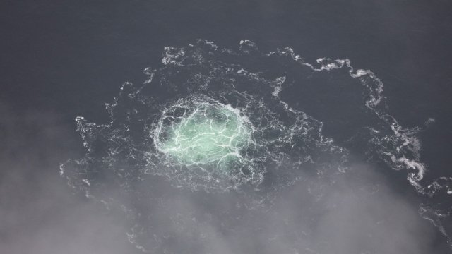 Снимка: Bloomberg LP