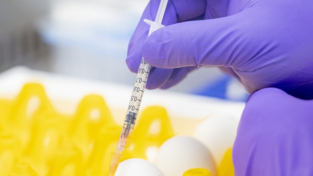 Снимка: Jason Alden/Bloomberg