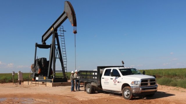 <p>
	Снимка: Pixabay</p>
