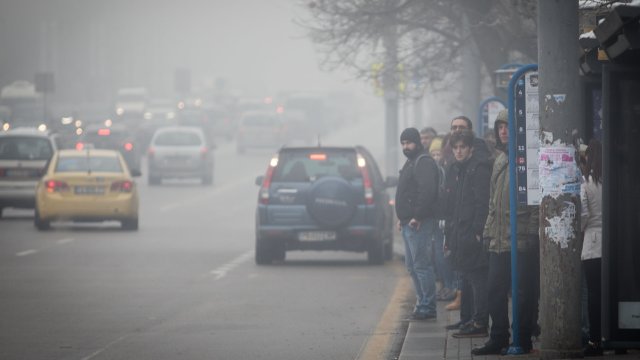 Снимка: Димитър Кьосемарлиев/Investor Media Group