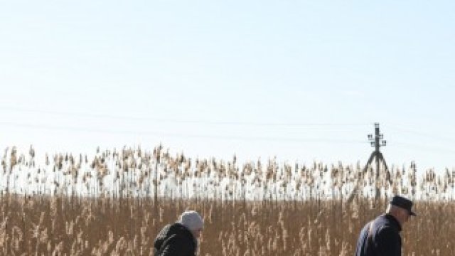 <p>
	<em>Снимка: Jonathan Alpeyrie/Bloomberg</em></p>
