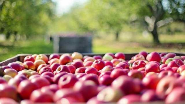 <p>
	<em>Снимка: Pixabay</em></p>
