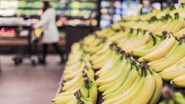 <p>
	Снимка: Pixabay</p>
