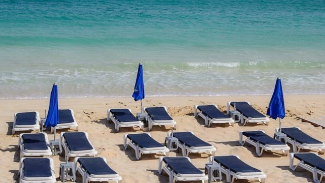 <p>
	<em>Снимка: Pixabay</em></p>
