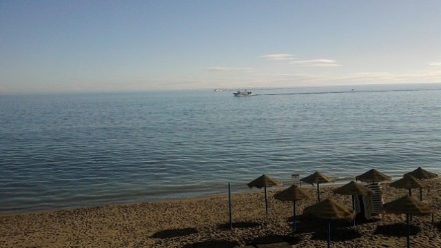 <p>
	<em>Снимка: Investor.bg</em></p>
