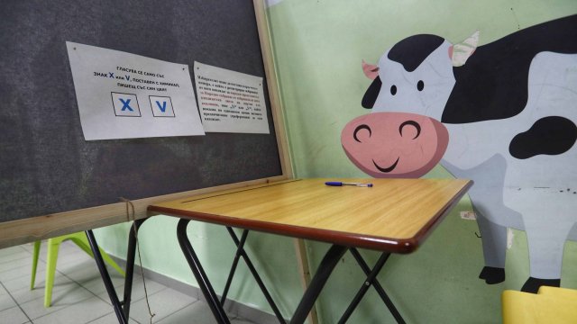 Снимка: Димитър Кьосемарлиев, Investor Media Group