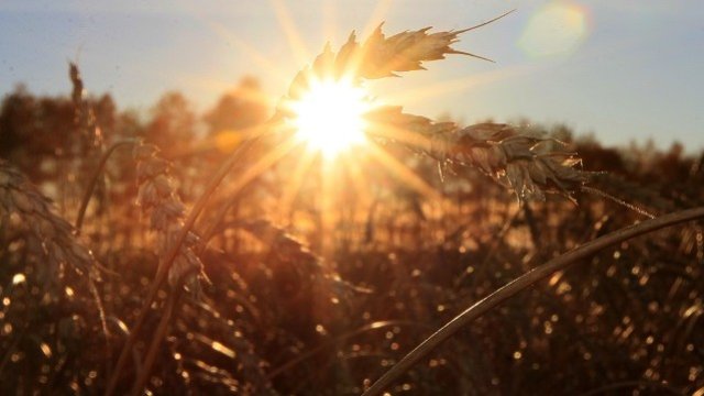 <p>
	<em>Снимка: Архив Ройтерс</em></p>
