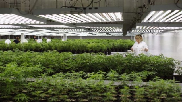 <p>
	<em>Снимка: Архив Ройтерс</em></p>
