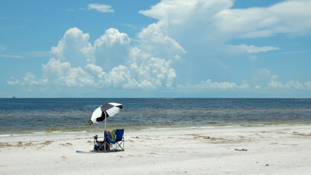 <p>
	<em>Снимка: Pixabay</em></p>
