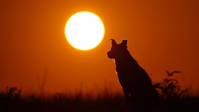 <p>
	<em>Снимка: Bloomberg LP</em></p>
