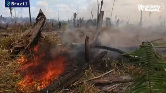Природните бедствия, които белязаха отиващата си година