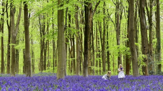 <p>
	<em>Снимка: Ройтерс</em></p>
