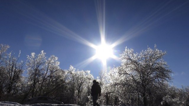 <p>
	<em>Снимка: Архив Ройтерс</em></p>
