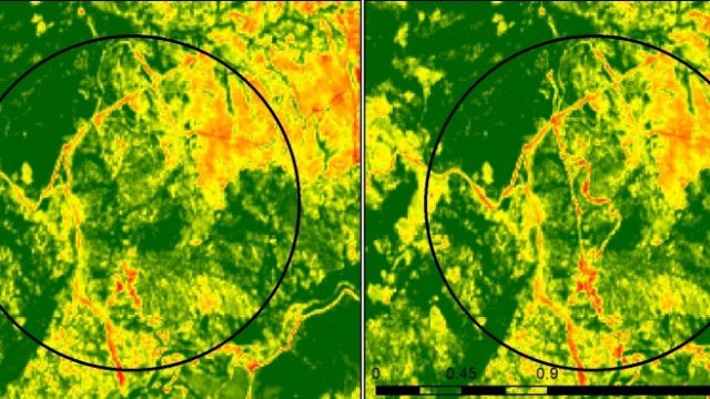 <p>
	<em>Източник: Антикорупционен фонд</em></p>
